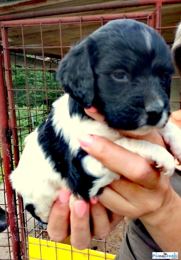 detailní fotografie