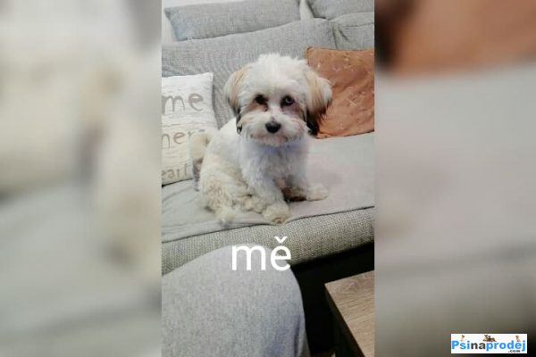 detailní fotografie