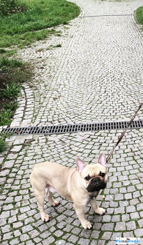 detailní fotografie
