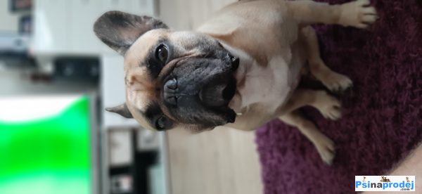 detailní fotografie