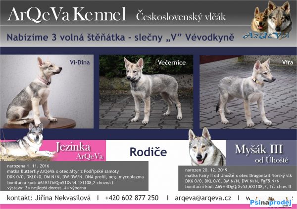 detailní fotografie
