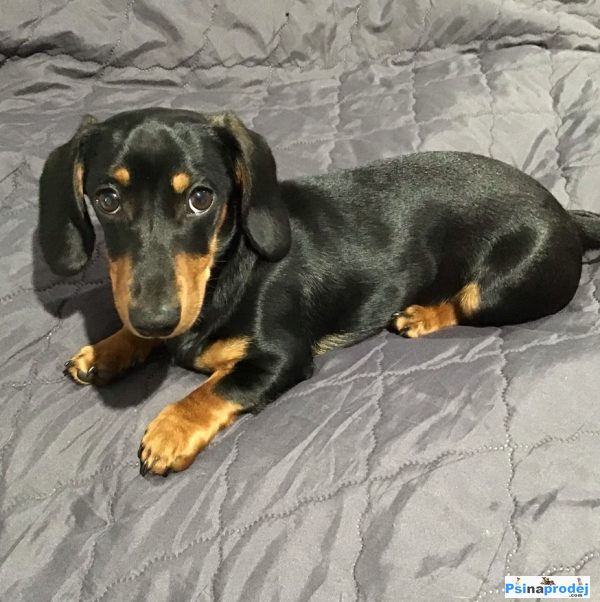 detailní fotografie