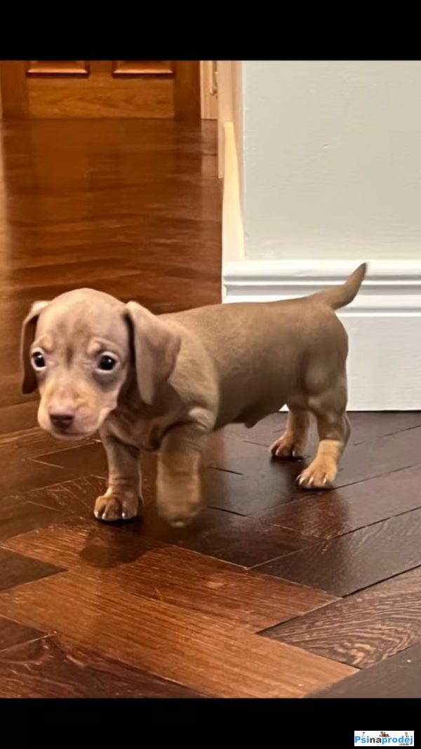 detailní fotografie