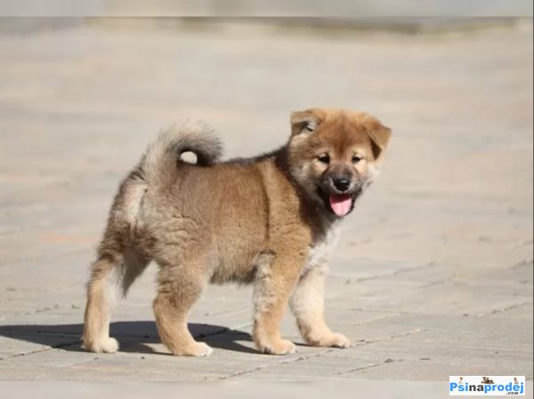 detailní fotografie